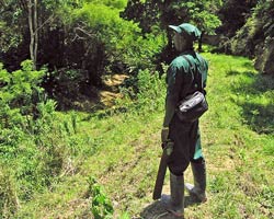 Desmond Wright, resident naturalist at Cuffie River Nature Retreat