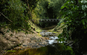 Bridge on the Cuffie River