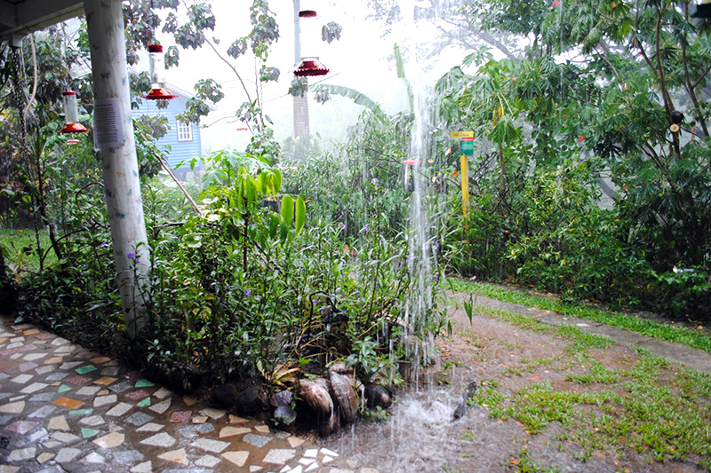 Adventure Farm and Nature Reserve, Plymouth, Tobago